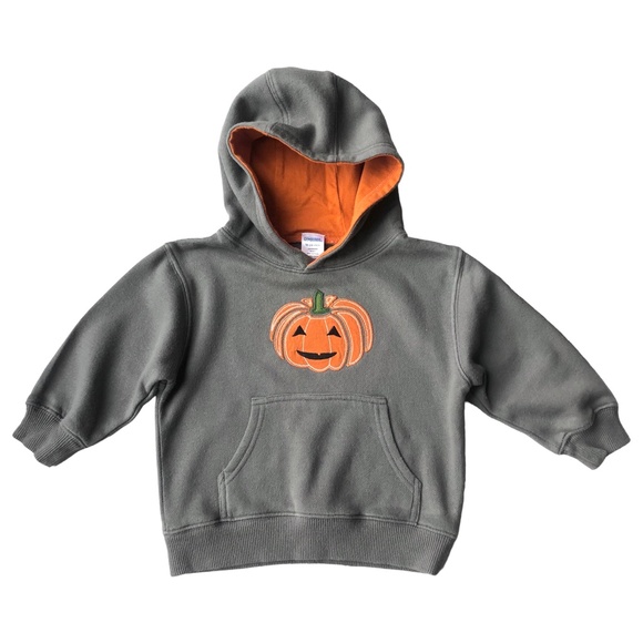 Gymboree Gray Pumkin Hoodie Sweatshirt 18-24 months - Picture 3 of 5